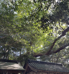 下関から北九州　その5　長門一宮　住吉神社　摂社 七社神社　前編　〜　神様アスリート 